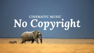 No Copyright Cinematic Music Background, African Cinematic Ethnic / Namibia 2022 #64