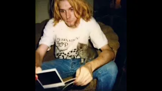 Kurt Cobain and His Cats #shorts
