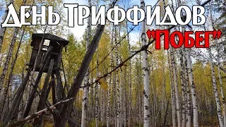 День Триффидов - Побег