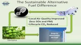 Sustainable Alternative Fuels for Aviation