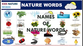 NATURE WORDS FOR TODDLERS-KIDS AND NURSERY CHILDREN