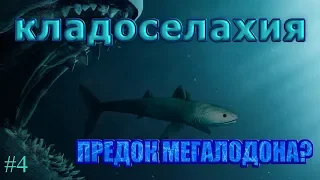 КЛАДОСЕЛАХИЯ ВЫПУСК #4 _ "ПРЕДОК МЕГАЛОДОНА?"