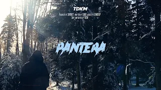 Tibor - Pantera