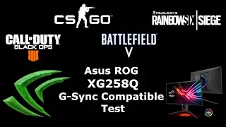 Asus ROG XG258Q G-Sync Compatible Test