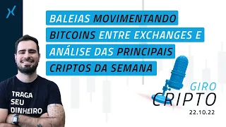 Baleias movimentam Bitcoins, Real Digital começa a ser testado e análise sobre as criptos da semana!