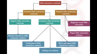 Different types of DNA extraction methods