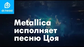 Metallica с песней "Группа Крови" Цоя