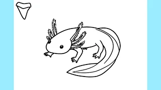 How to draw an AXOLOTL easy / drawing simple animals axolotl salamander