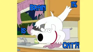 Brian thinks He's a Cat | Kitchen Scene Family Guy