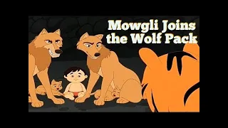 Mowgli joins the wolfpack class 3 | The Jungle Book | communicate with Cambridge | English Reader