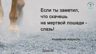 Не скачите на мертвой лошади. Взгляд каббалиста