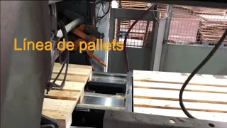 Fabricación automática de Pallets Maringa Maderas