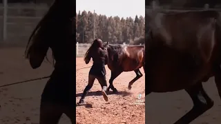 beautiful girl dance with horse