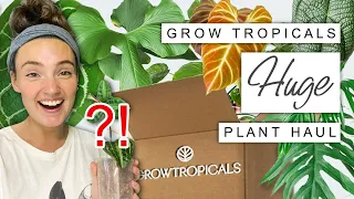 WISHLIST Plant Unboxing 🌿 Huge Grow Tropicals Houseplant Haul 2023