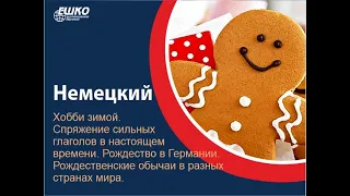 Вебинар по немецкому языку Хобби зимой