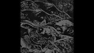 Vermin Womb - Retaliation "Preview" (2022)