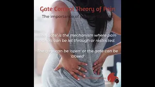 Gate Control Theory of Pain