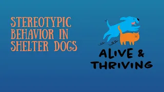 Stereotypic Behavior in Shelter Dogs