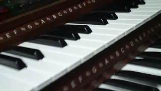 Lowrey Organ Reset (using the Stardust as example)