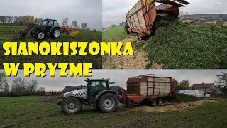 MOKRY ZBIÓR SIANOKISZONKI W PRYZMĘ☘️Agro Dniówka #369