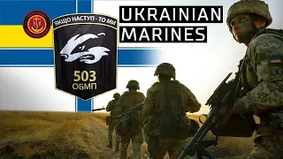 Ukrainian Marines RAID by 503 battalion