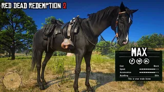 The Most Underrated Horse in Red Dead Redemption 2 | Black Arabian | RDR2 | PS4 Slim
