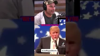 Joe Rogan cries laughing over a Trump