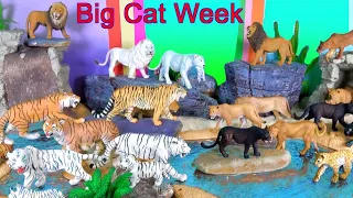 Big Cat Week 2019 - Happy Cute ZOO Animals Wildlife LION TIGER CLOUDED LEOPARD BIG CATS Toy Review