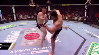 gabriel gonzaga vs mirco cro cop