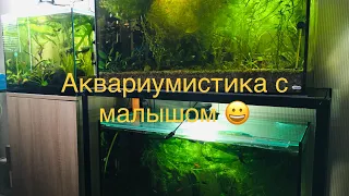 Аквариумистика с малышом. Аквариумы. Рыбки