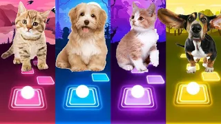 Cute Cats vs Cute Puppy Lady Gaga Bloody Mary Shakira Waka Waka Bongo cat vs dog Tiles Hop EDM Rush!