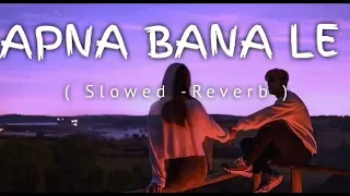 Apna Bana Le -[Slow & reverb] | Bhediya | Varun Dhawan , kriti sanon | arjit sing
