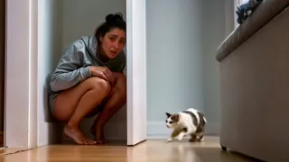 Girl Hid From Cat And She Didn’t Expect This To Happen