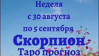 Скорпион неделя с 30 августа по 5 сентября 2021 года Таро прогноз