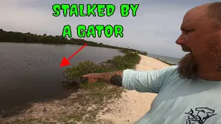 I was STALKED by an 11 foot GATOR while CRABBING