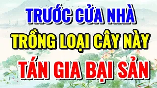 TRƯỚC CỬA NHÀ ĐỪNG DẠI TRỒNG CÂY NÀY, KẺO TÁN GIA BẠI SẢN, NGHÈO KHÓ 3 ĐỜI - Lời Phật Dạy