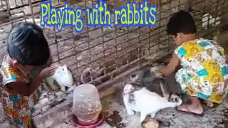 Xandrei's Video collection #6 || Playing with rabbits ||@XandreisVlogTV