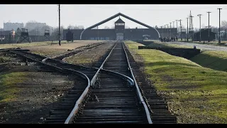 Auschwitz Museum says it has lost over 6K followers since Israel Hamas war began