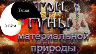 Три Гуны материальной природы. Роберт Адамс. Nikosho