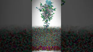 SARS-CoV-2 spike protein with glycans