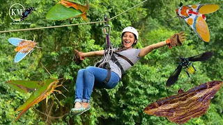 ZIP LINING AND MOTHS IN COSTA RICAN RAINFOREST