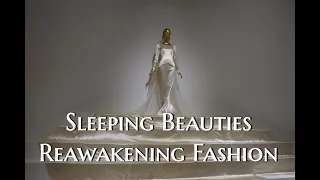 Sleeping Beauties Reawakening Fashion