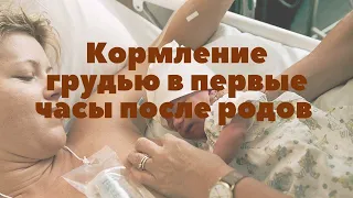 Кормление грудью в первые часы после родов | Грудное вскармливание | "До и После Родов"