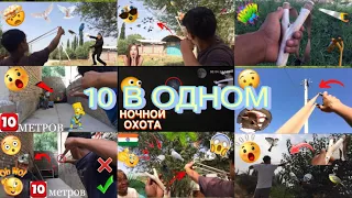 Все мои Охоты С Рогатками на Птицу