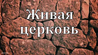 "Живая церковь".  Г. В. Костюченко. МСЦ ЕХБ