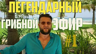 ЛЕГЕНДАРНЫЙ ГРИБНОЙ ЭФИР №1  Про Интуицию и Деньги