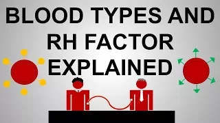 Blood Types and Rh Factor Explained