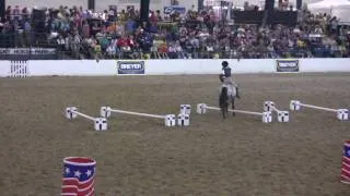 Breyerfest 2009 - Lizzy & Toby Performing their Bareback & Bridleless routine "Burn"