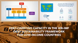 Debt-Carrying Capacity in the WB-IMF LIC DSF