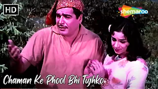 Chaman Ke Phool Bhi Tujhko | Mohd Rafi Hit Songs | Ajit, Ragini Hit Songs | Shikari (1963)